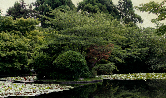 garden at golden pavilion kyoto fs