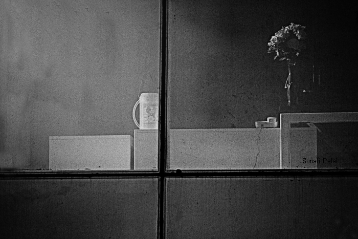 through the window-1