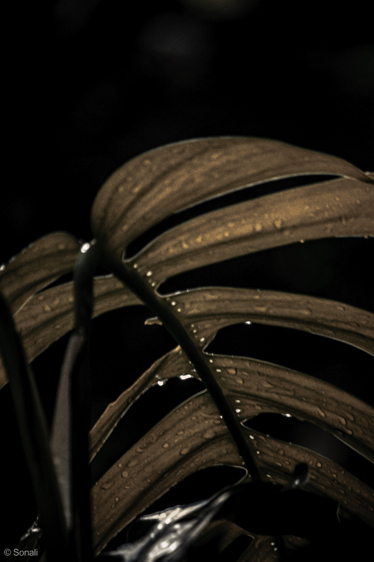 3rd August 2014-1-15