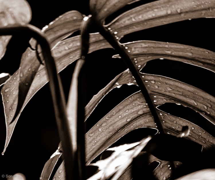 3rd August 2014-1-16