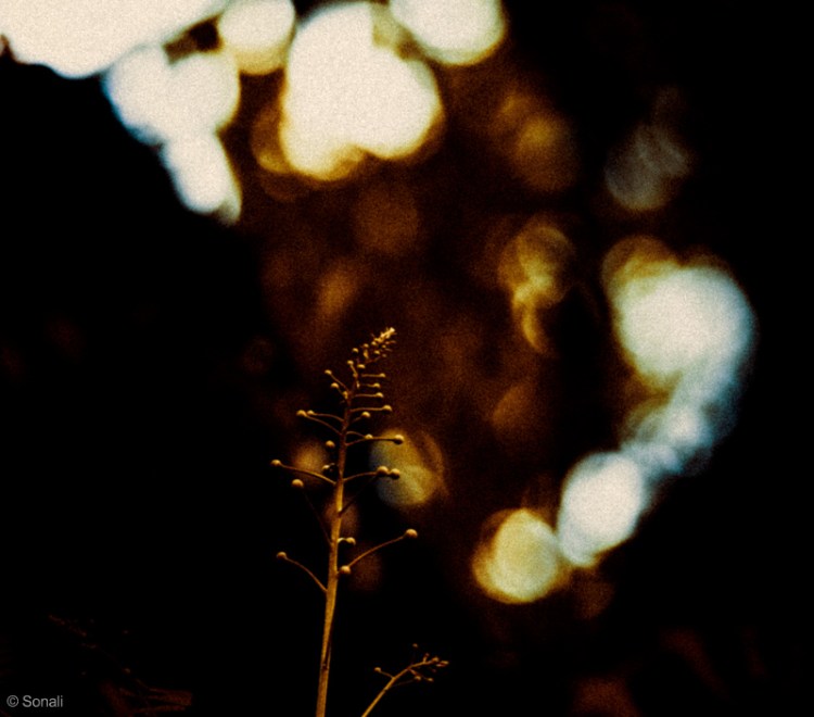 3rd August 2014-1-18