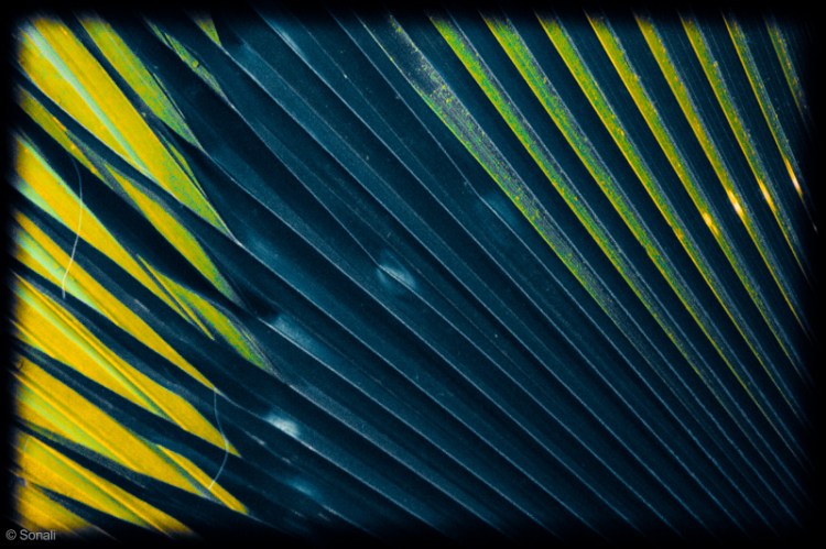 3rd August 2014-1-19