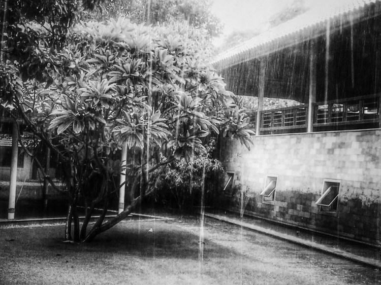 20140904_142829_1 (1)