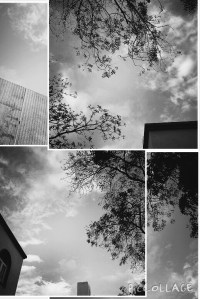 Collage 2015-0302 21_06_03_1