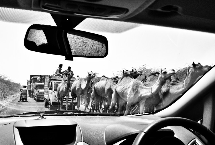 IMG_20150420_114622-01-01