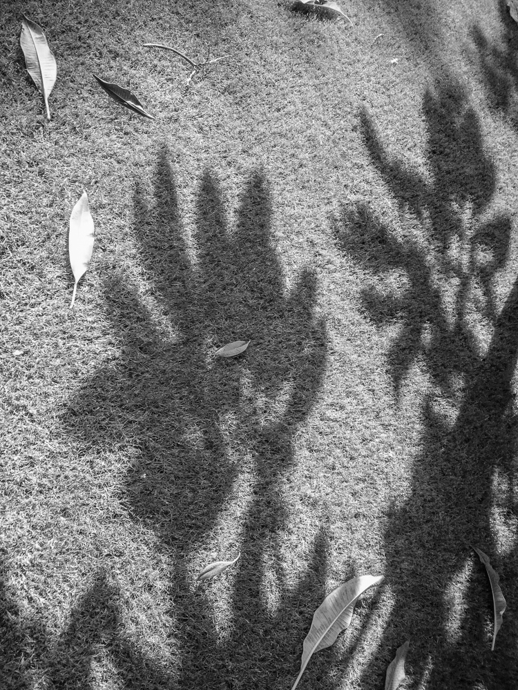 2014-08-09 16.27.27-1