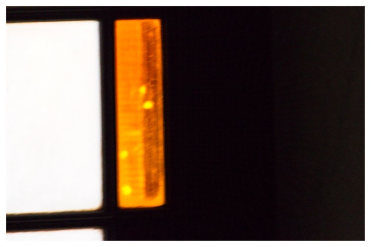 _MG_0075sonali Dalalfs by Sonali Dalal_