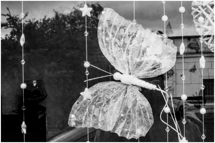 _MG_9038-Edit1 by Sonali Dalal_