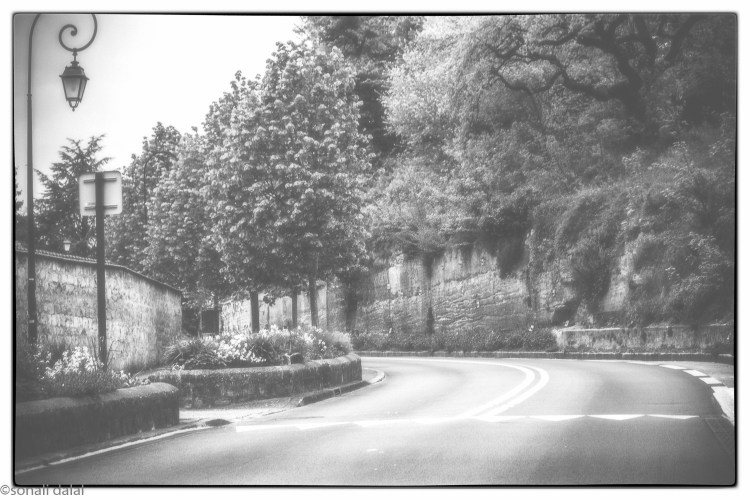 _MG_9152-Edit1 by Sonali Dalal_